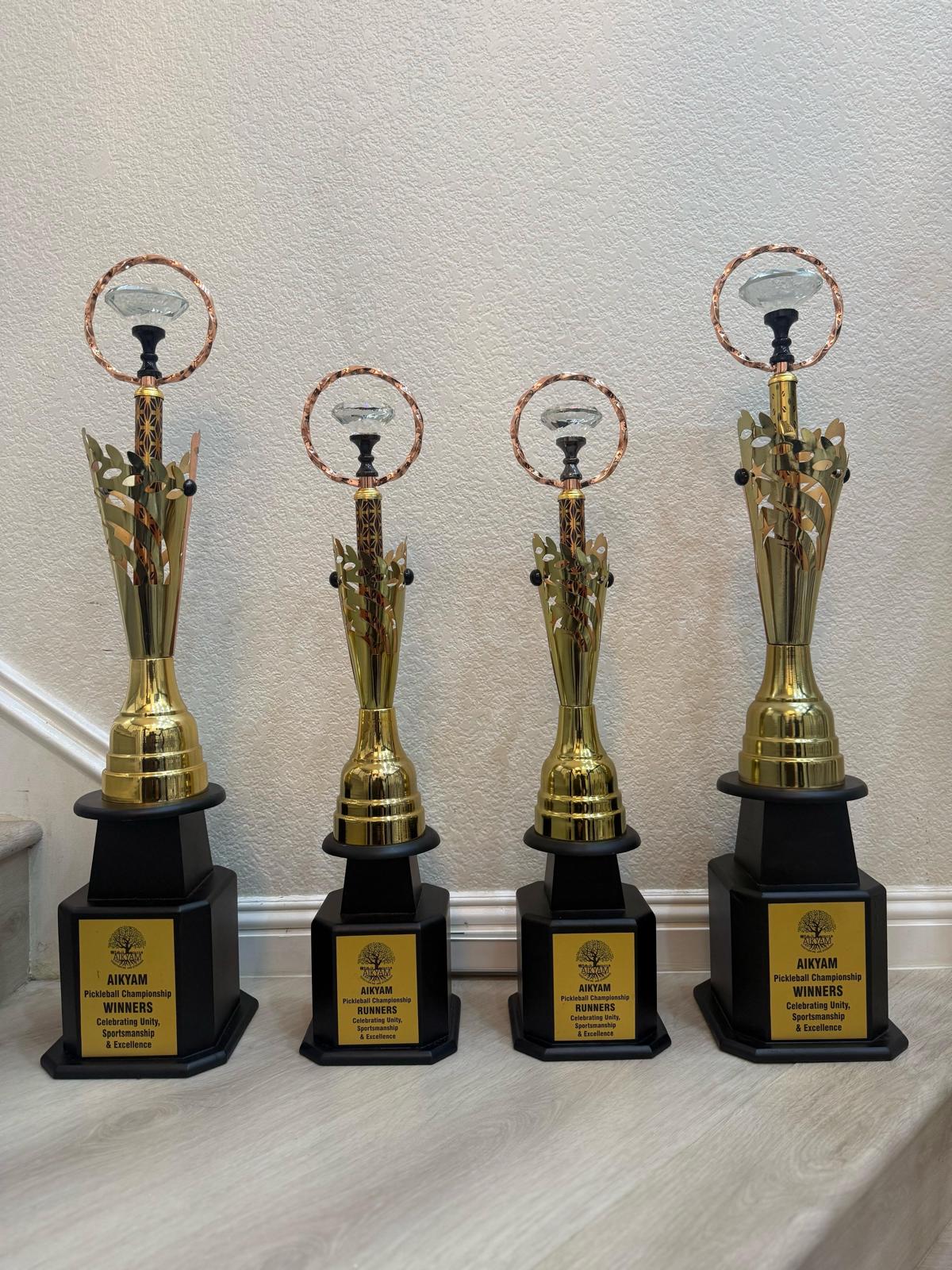 Pickleball Skills 2025